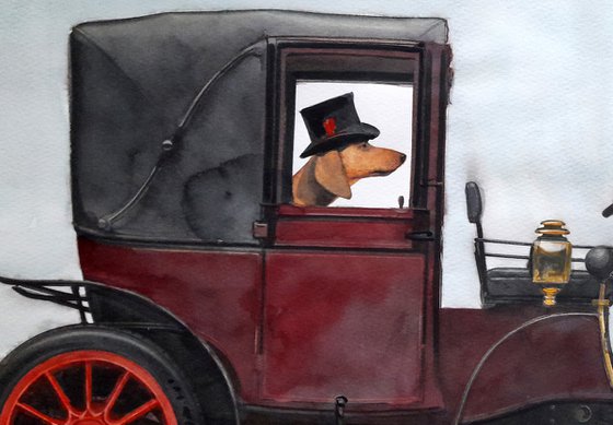 Teckel (dachshund) in Retro car (1910 Renault Landaulette) and Girl