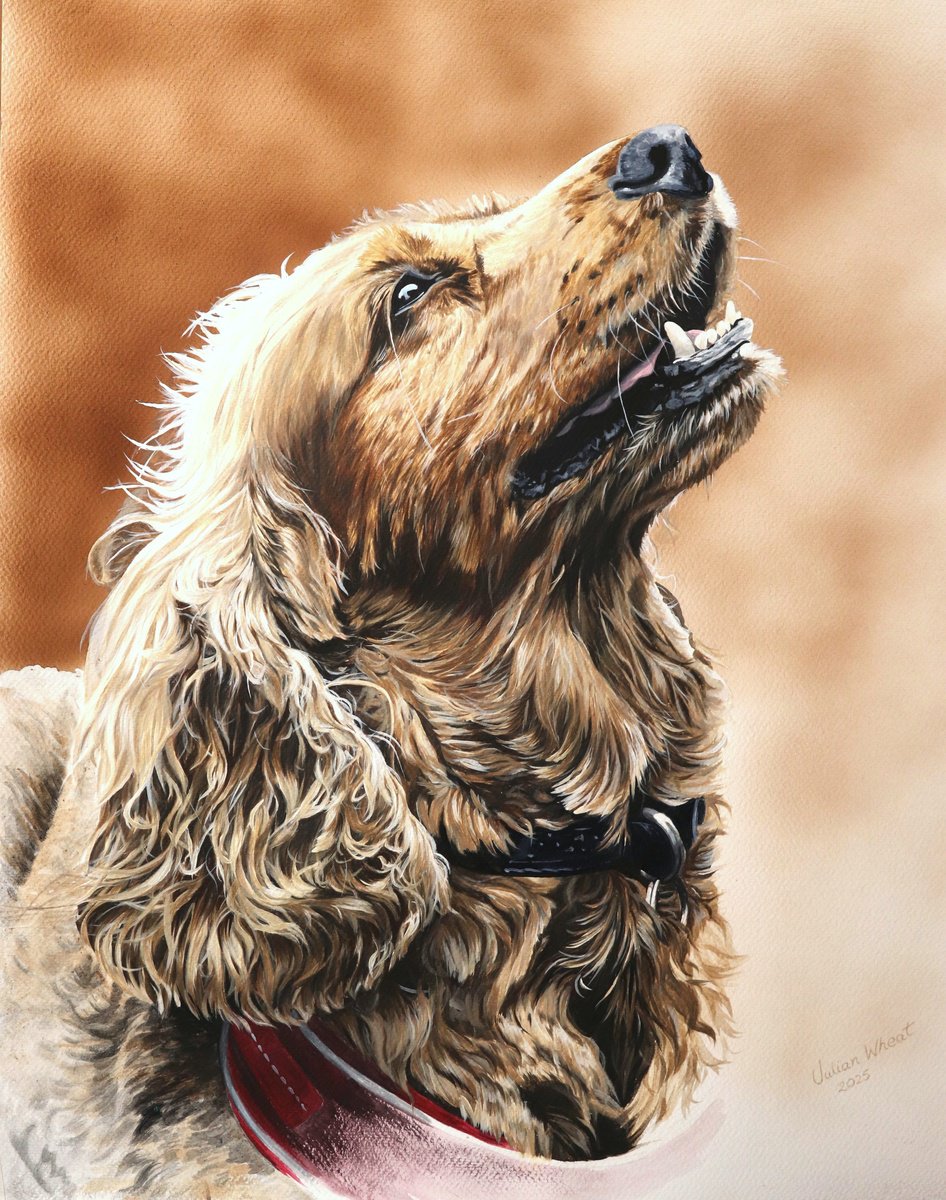Photorealistic Animal Acrylic Painting By Julian Wheat, 18 X 23", Cocker Spaniel, Original Artwork