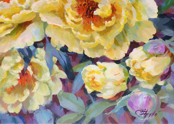 Yellow peonies, 50x40cm