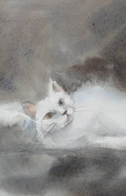 The White cat by Ann Krasikova