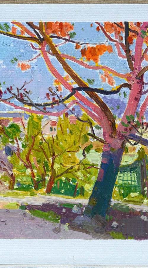 Big tree 269 by jianzhe chon