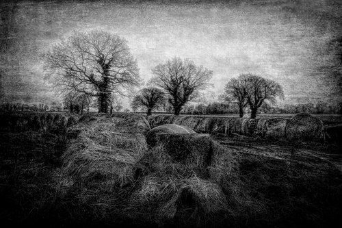 The Straw Bales by Martin  Fry