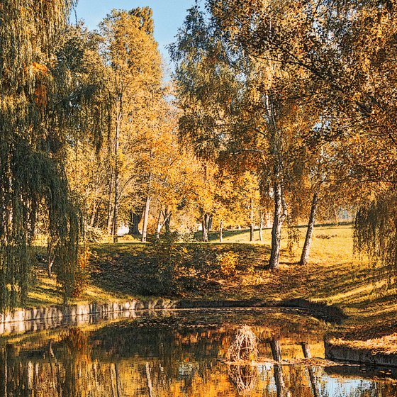 Autumn in the park.