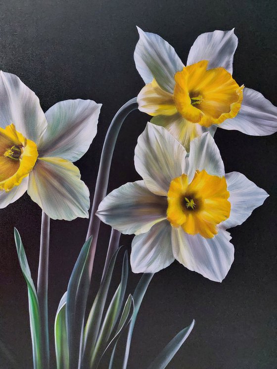 narcissus painting,  yellow flowers art
