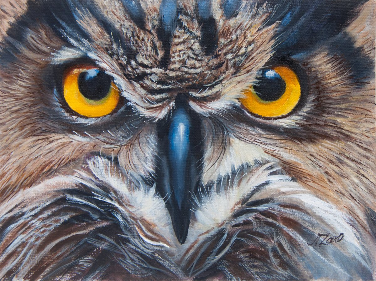 Owl 5 by Norma Beatriz Zaro