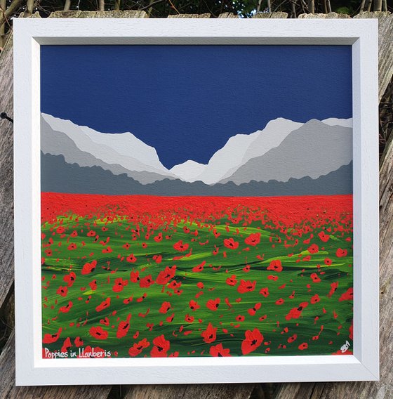 Poppies in Llanberis, The Lake District