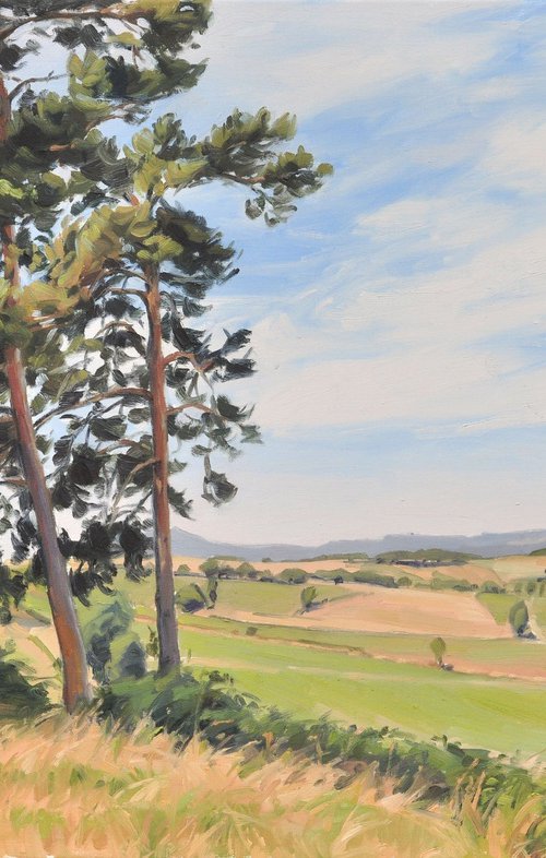 Summer light, Velay Mountains by ANNE BAUDEQUIN