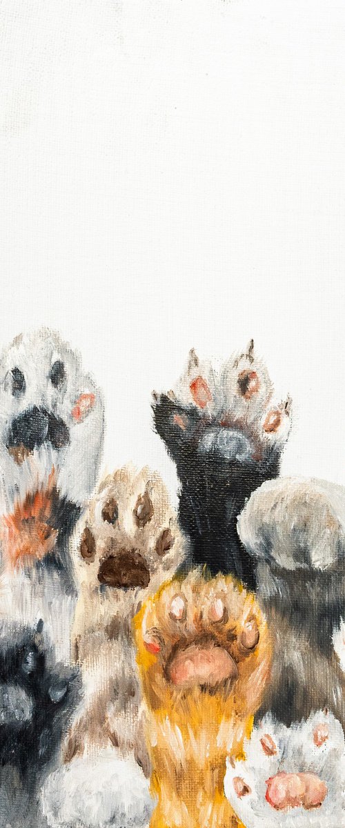 Paws by VICTO