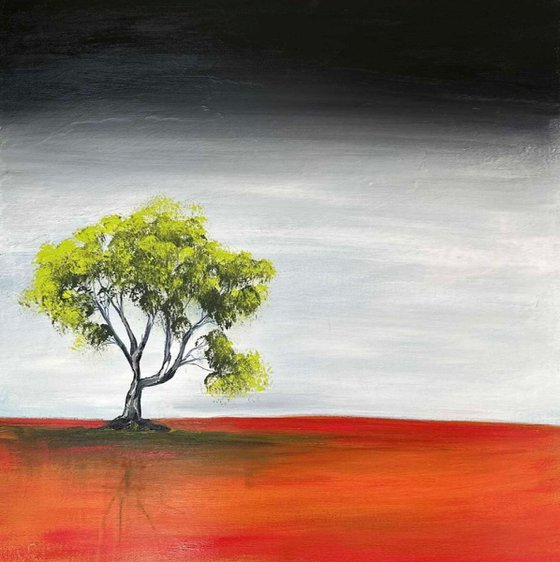 Solitude in the wild
