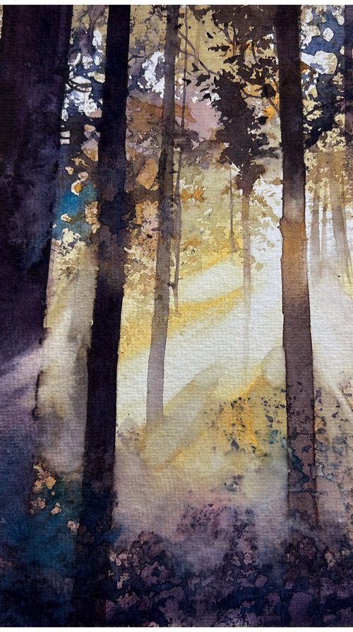 Sunbeams by Nazar Grunyka