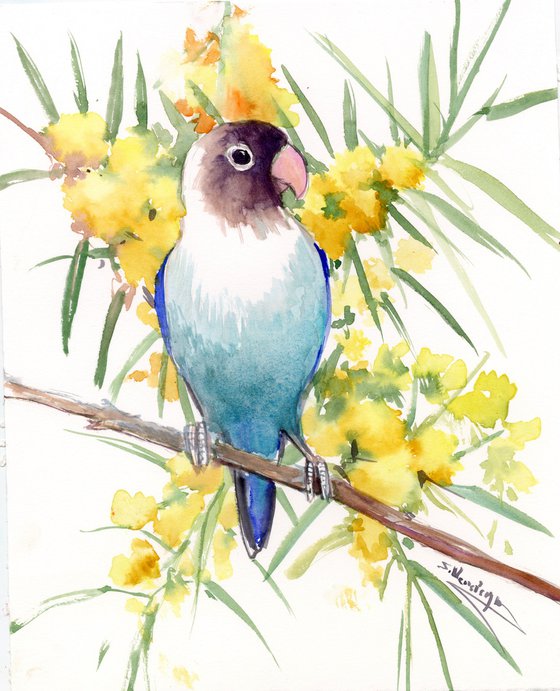 Lovebird