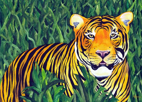 Jungle Cat 9 by Terri Smith