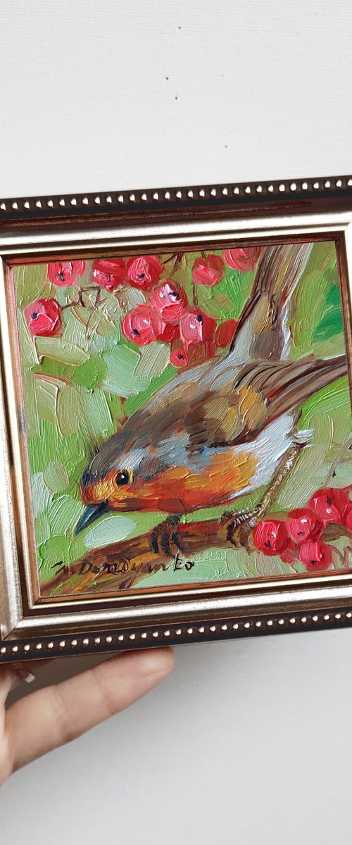 Robin bird on brunch by Nataly Derevyanko