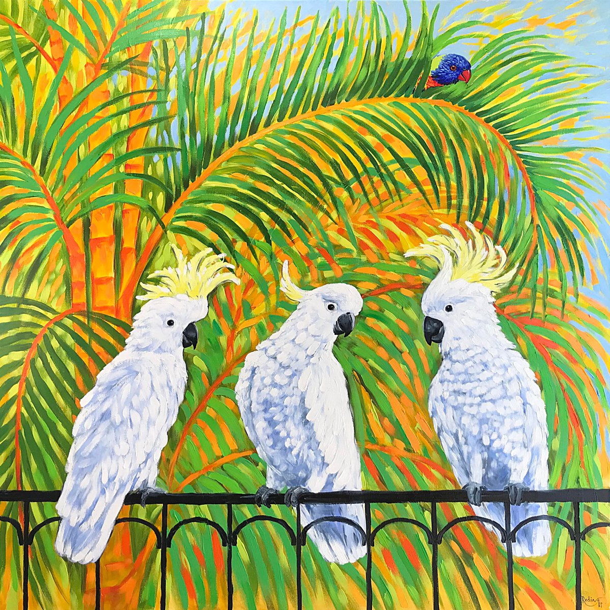 Cockatoos and rainbow lorikeet by Irina Redine