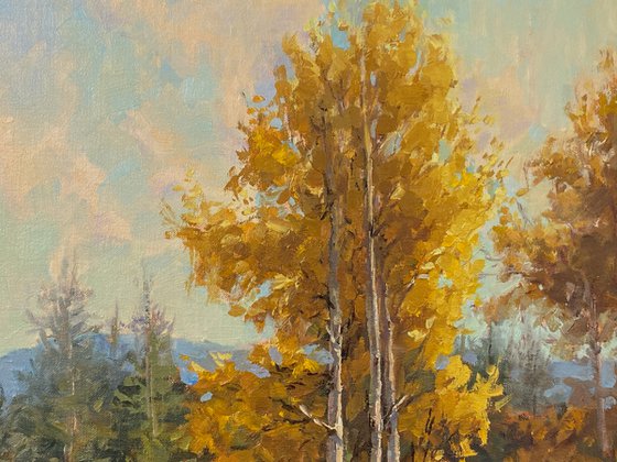 Aspen Golden Glow Landscape