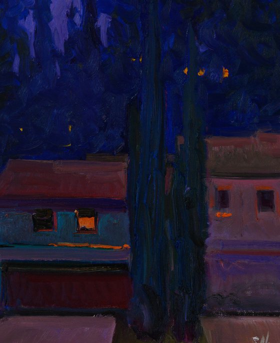 Dusk. Blue Pines