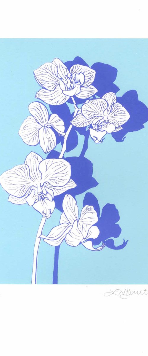 Orchid on Blue by Louise Boulton