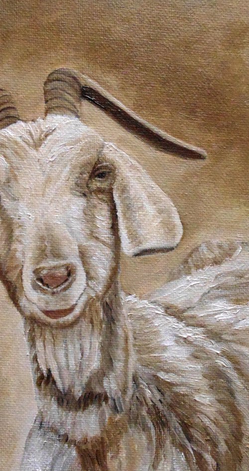 The Smile Of A Goat by Angeles M. Pomata