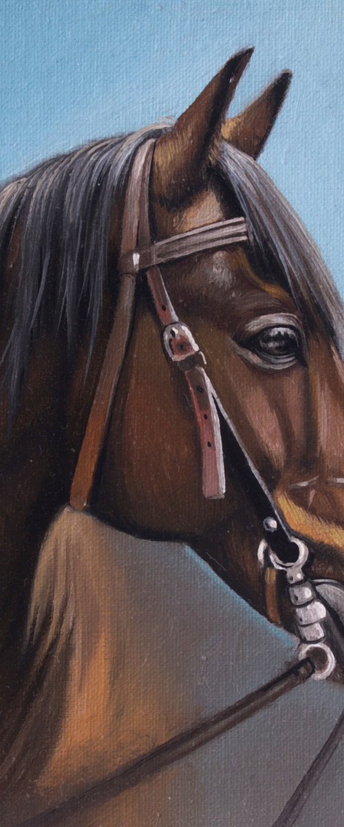 Horse Portrait 30 by Anastasia Parfilo