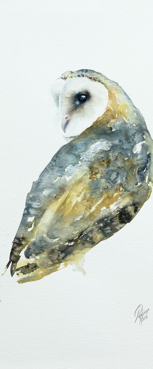 Barn owl by Andrzej Rabiega