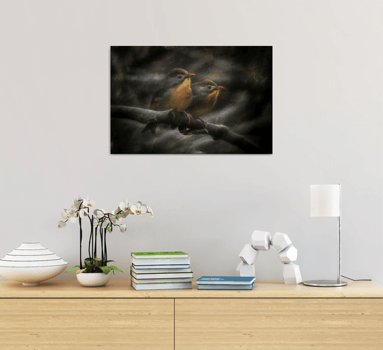 Exotic Robins Textured