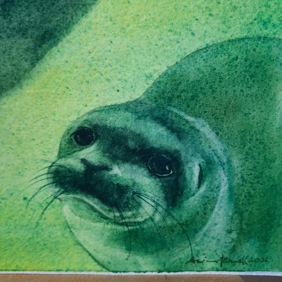 Watercolour Seals - original painting