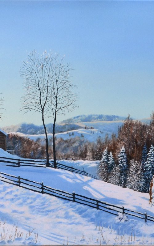 Somewhere in the mountains by Andrii Lysenko
