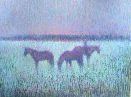 Misty Evening