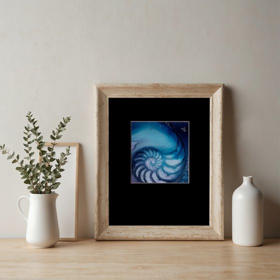 Nautilus Shell 69
