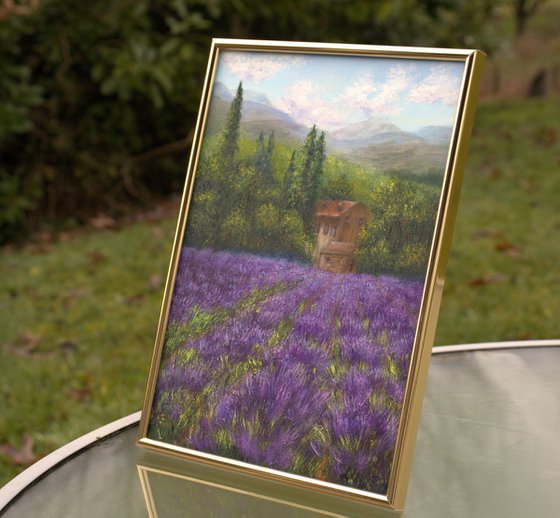 Lavender landscape in Provence