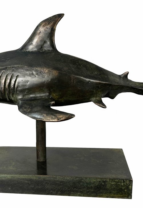 Shark - Primal Force by Toth Kristof