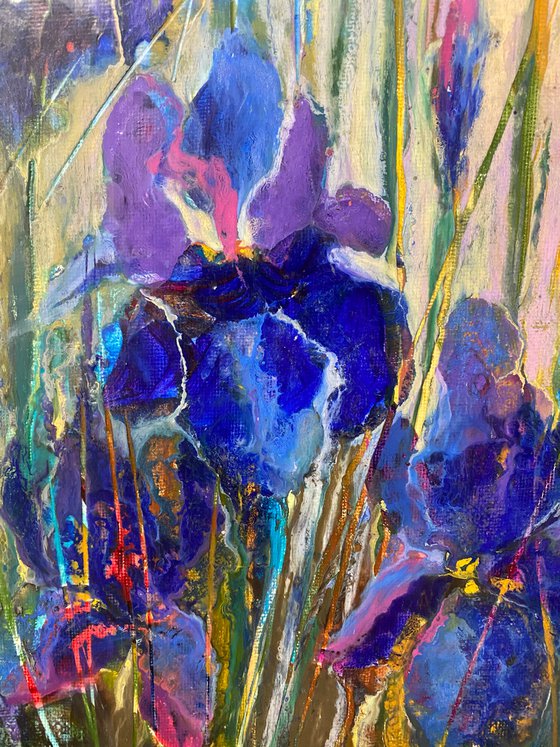 Blue irises