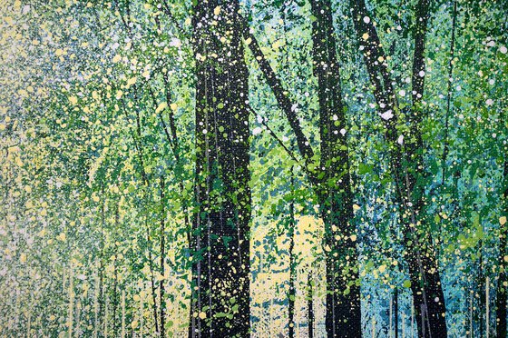 Forest Trees In Spring