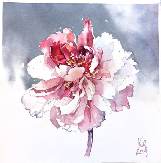 Fantasy flower "Peony on a gray background" original botanical watercolor square format