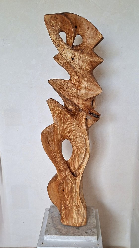 Birch bird