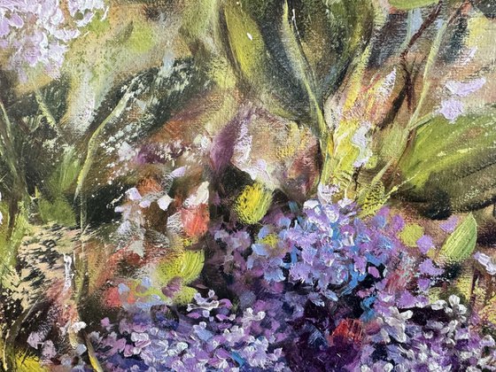 In the Spring Sunshine