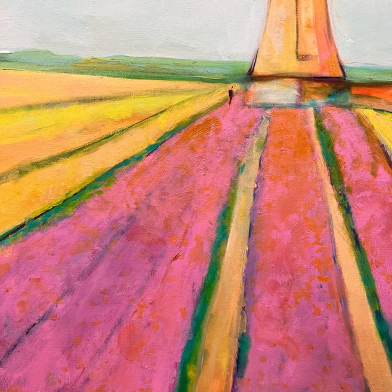 wandeling door de tulpen
