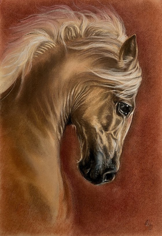 A portrait of a beautiful red horse