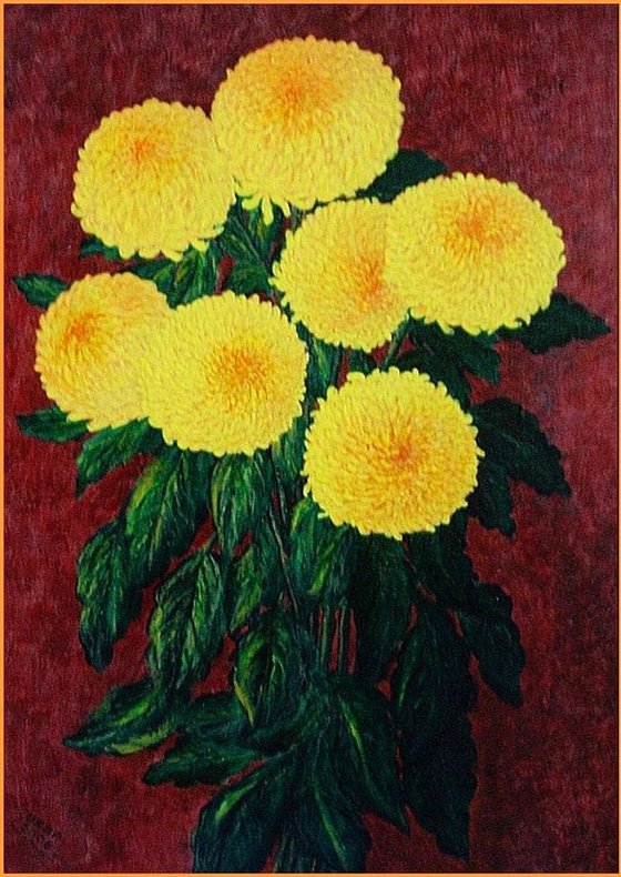 Yellow chrysanthemums ..