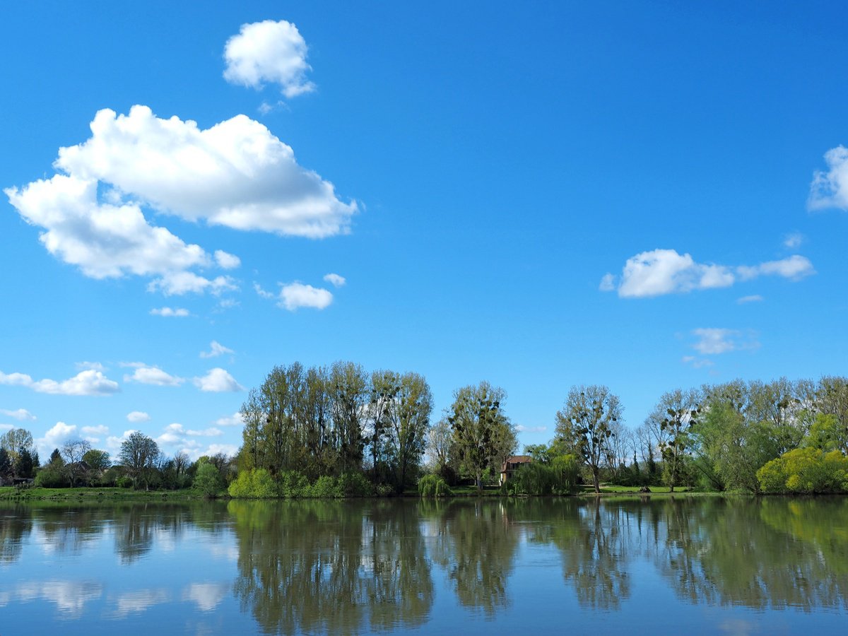 La Seine au printemps by Alex Cassels