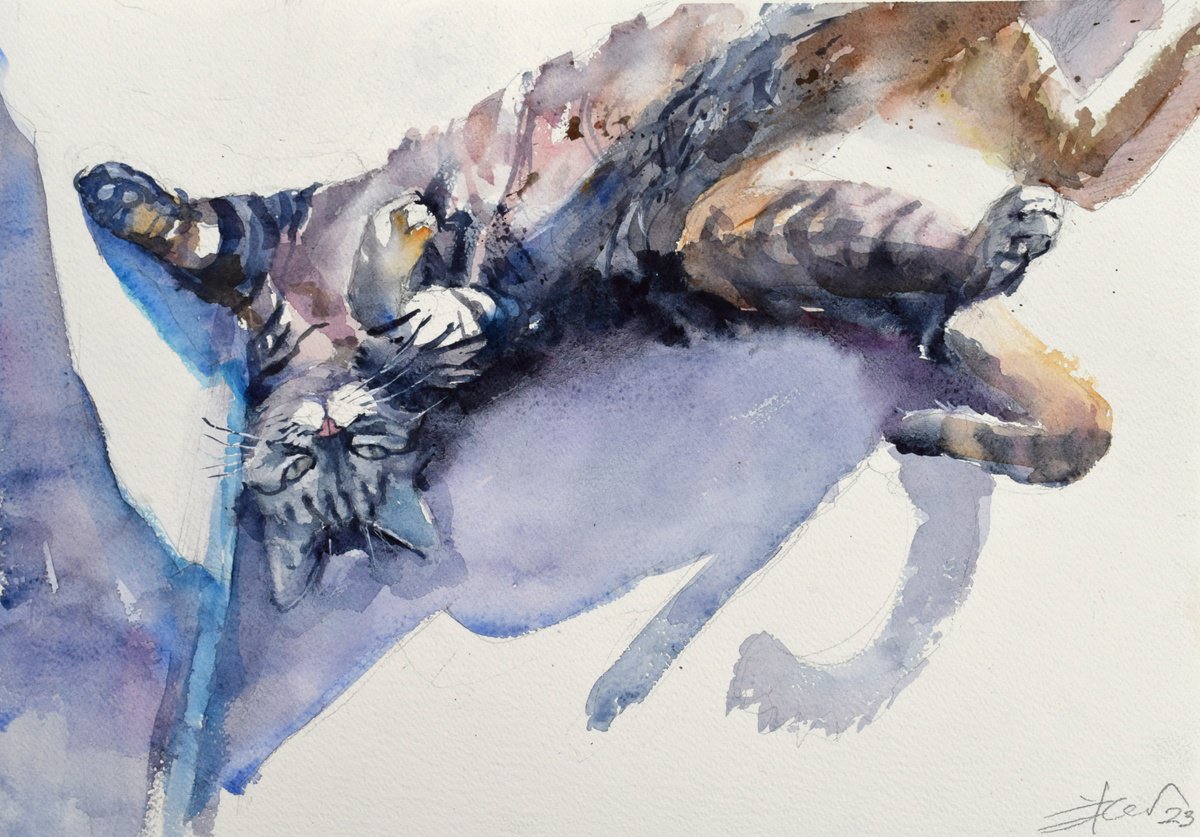 Expressive Animal Watercolour By Goran Zigolic Watercolors, 22 X 15, Posing Cat, Original Artwork