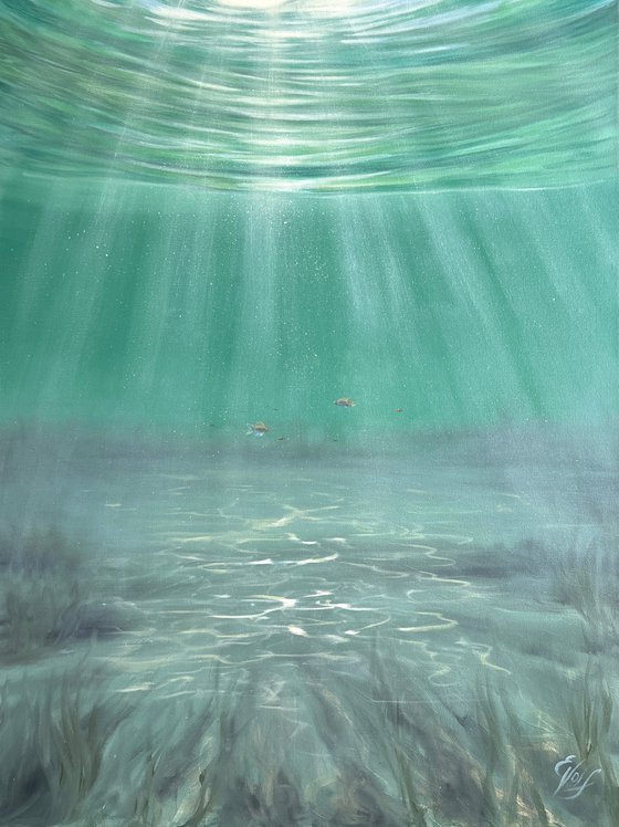 Where Pretty Fishes Live
