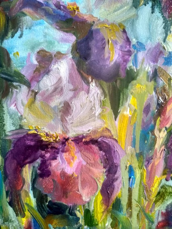 Irises