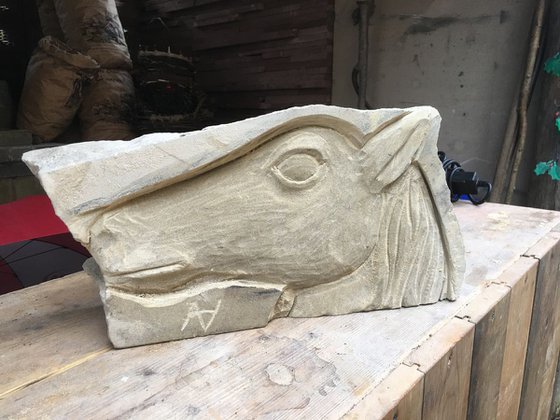 A Horse In Stone