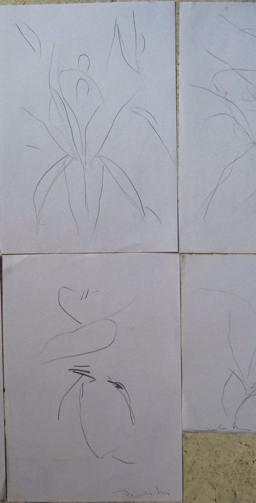 Six sketches - Vegetation, 21x29 cm - affordable & AF exclusive ! by Frederic Belaubre