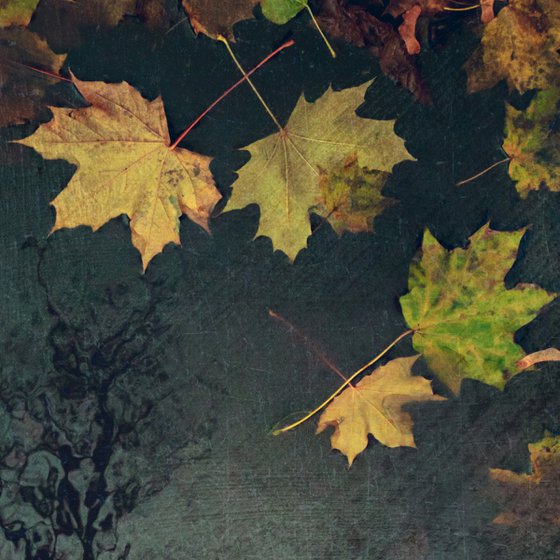 Gone with the November rain