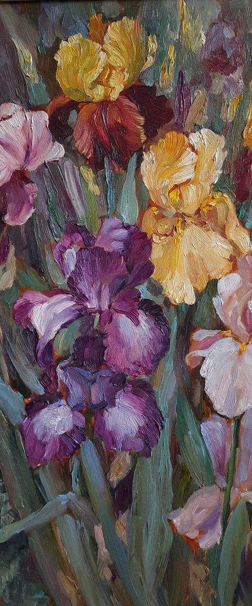 Irises- Original oil painting (2019) by Svetlana Norel
