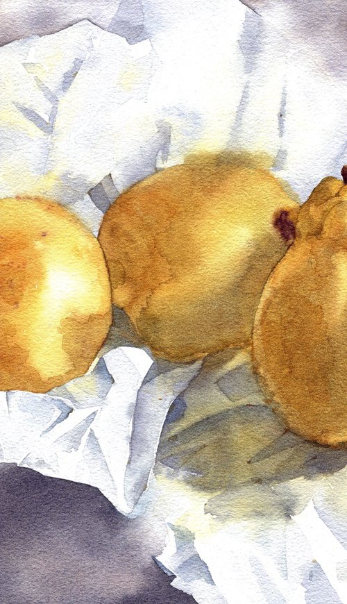 Ukrainian watercolour. Quince on paper by Nina Zakharova