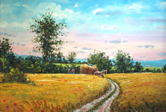 Wheat field (Summer)
