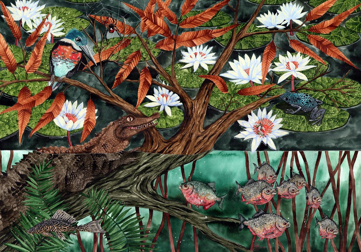 Illustrative Animal Painting By Terri Smith, 43 X 35", Freshwater Biome, Original Artwork